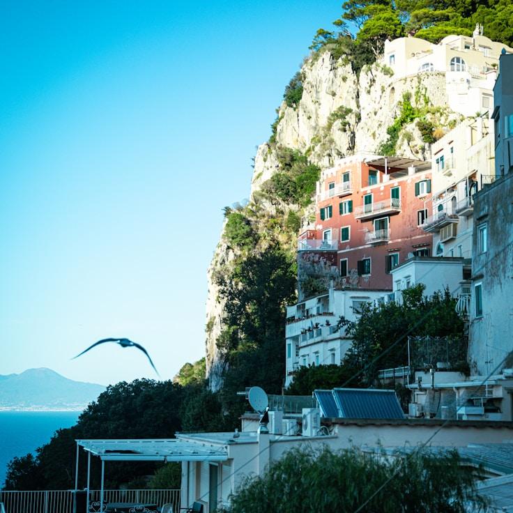 Entertainment zone at night in Canada